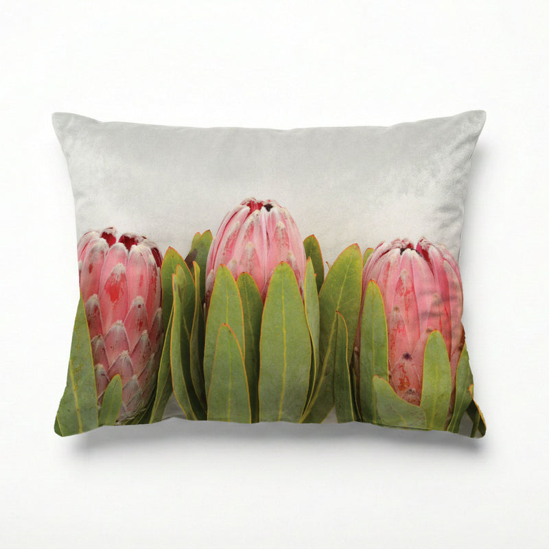 LINED UP PROTEAS SCATTER CUSHION