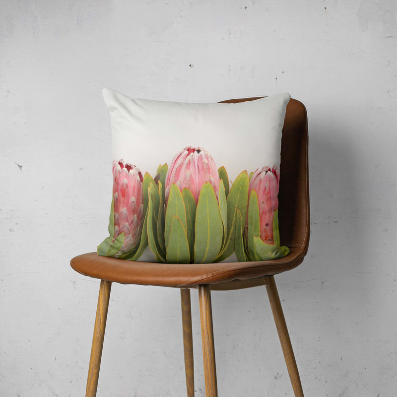 LINED UP PROTEAS SCATTER CUSHION
