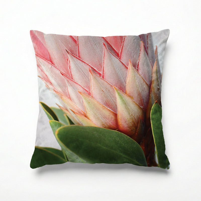 THE SIDE PROTEA SCATTER CUSHION