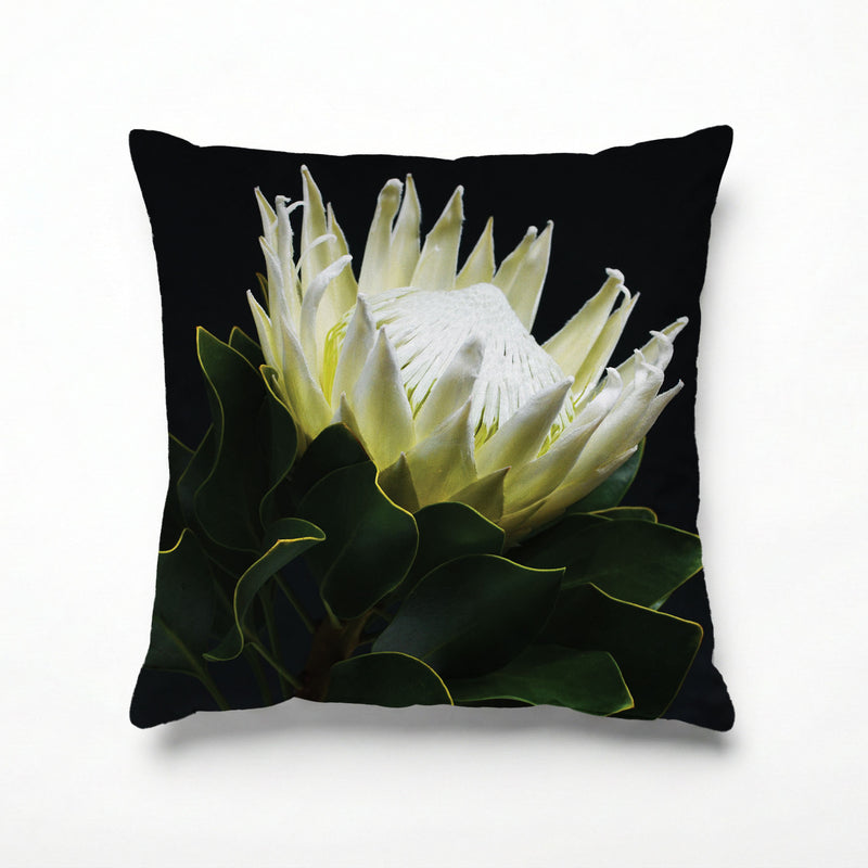 MIDNIGHT WHTIE PROTEA SCATTER CUSHION