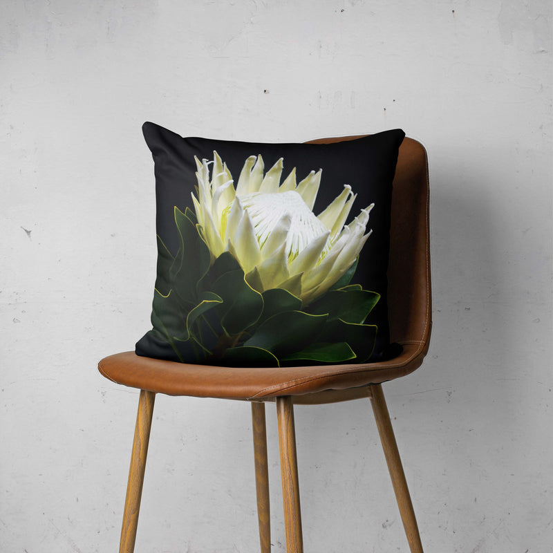 MIDNIGHT WHTIE PROTEA SCATTER CUSHION