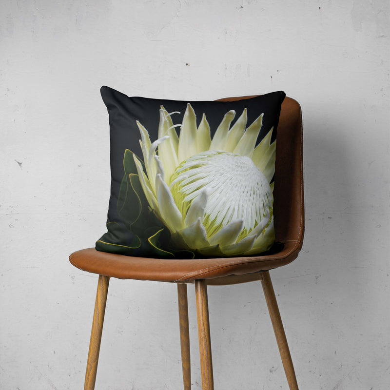 MIDNIGHT WHITE PROTEA UP CLOSE SCATTER CUSHION