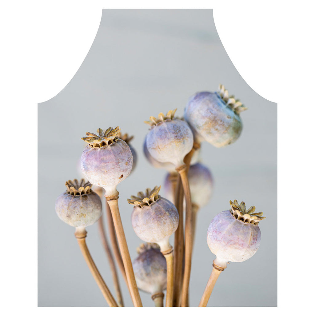 NATURAL PURPLE GIANT POPPY SEED BUNCH ON GREY APRON