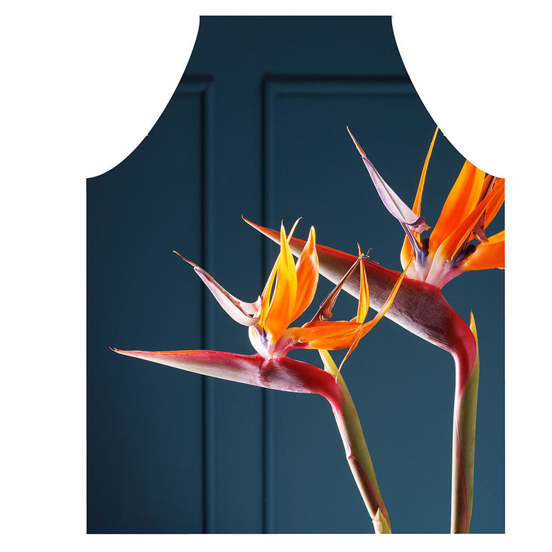 STRELITZIA TRIO ON RICH BLUE APRON