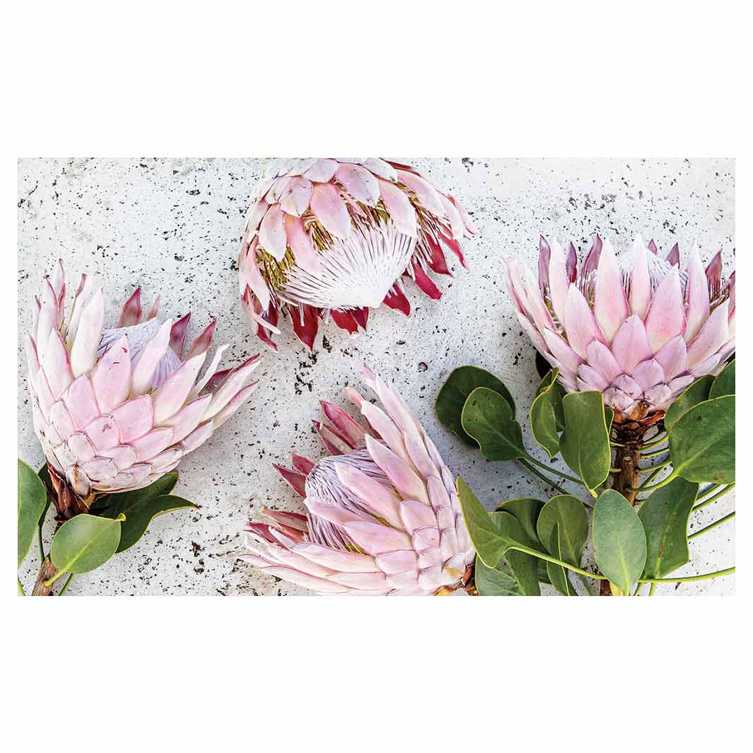 FLORAL PINK PROTEAS ON WHITE MULTI-PURPOSE MAT — Cape Rug, Home & Art
