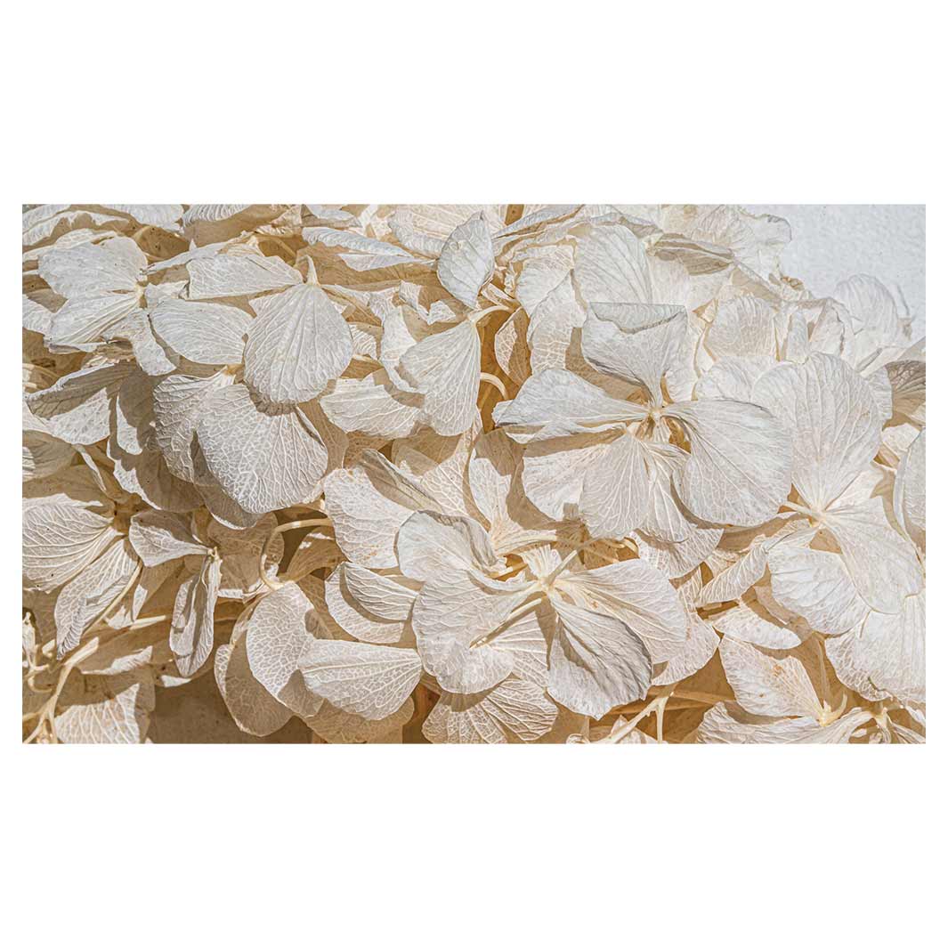 FLORAL CREAM BLEACHED HYDRANGEA LEAVES MULTI-PURPOSE MAT