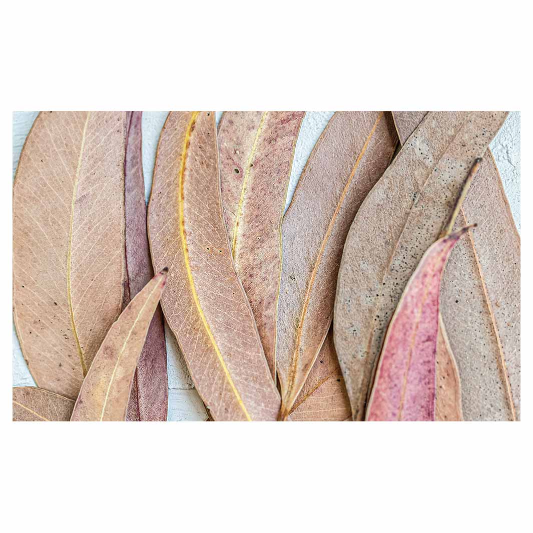 LEAVES PINK DRIED LEAVES MULTI-PURPOSE MAT