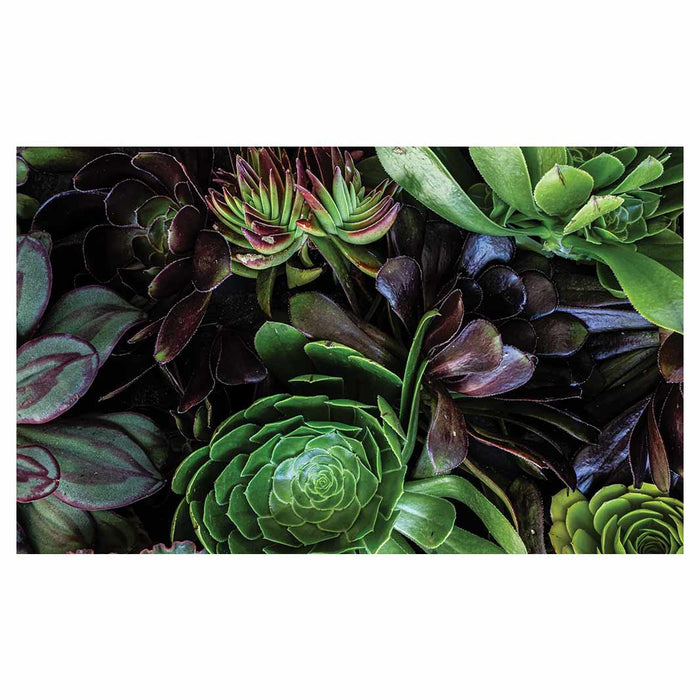 NATURAL GREEN AND PURPLE ALOE GARDEN MULTI-PURPOSE MAT