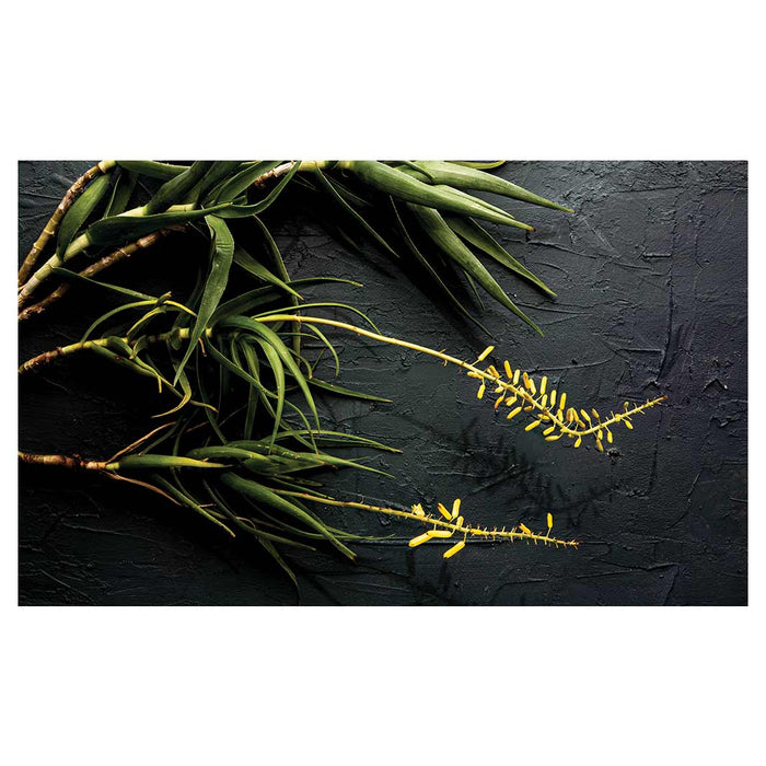 NATURAL YELLOW BLOSSOMS ALOE BUSH ON GREY MULTI-PURPOSE MAT