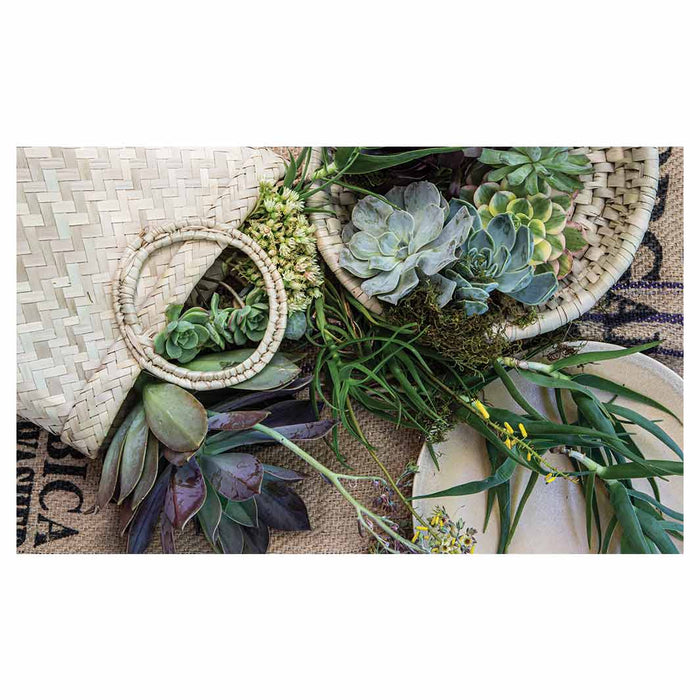 NATURAL GREEN ALOE BOUQUET IN BASKET ON HESSIAN MULTI-PURPOSE MAT