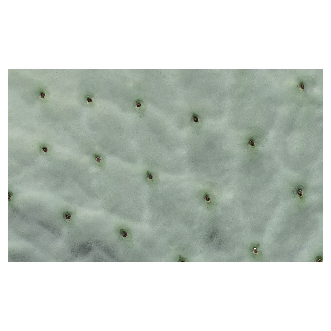 NATURAL GREEN PRICKLY PEAR LEAF MULTI-PURPOSE MAT