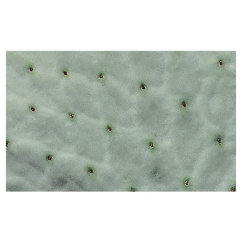 NATURAL GREEN PRICKLY PEAR LEAF MULTI-PURPOSE MAT