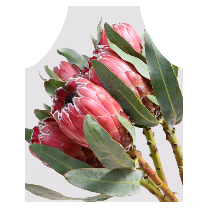 STANDING TALL PROTEAS APRON