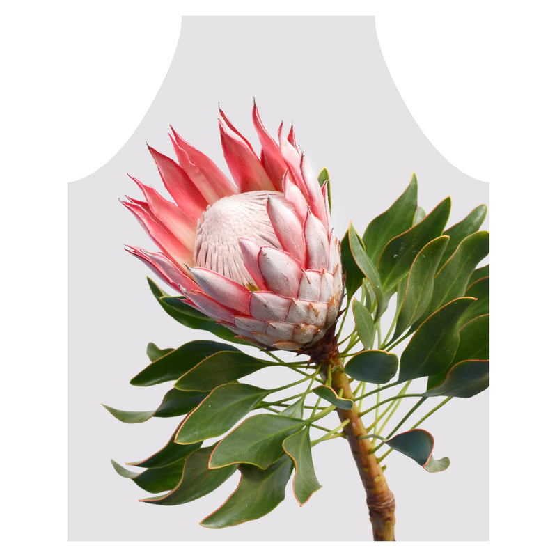 THE SOLO PROTEA APRON