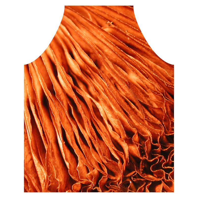 MACRO MUSHROOM APRON