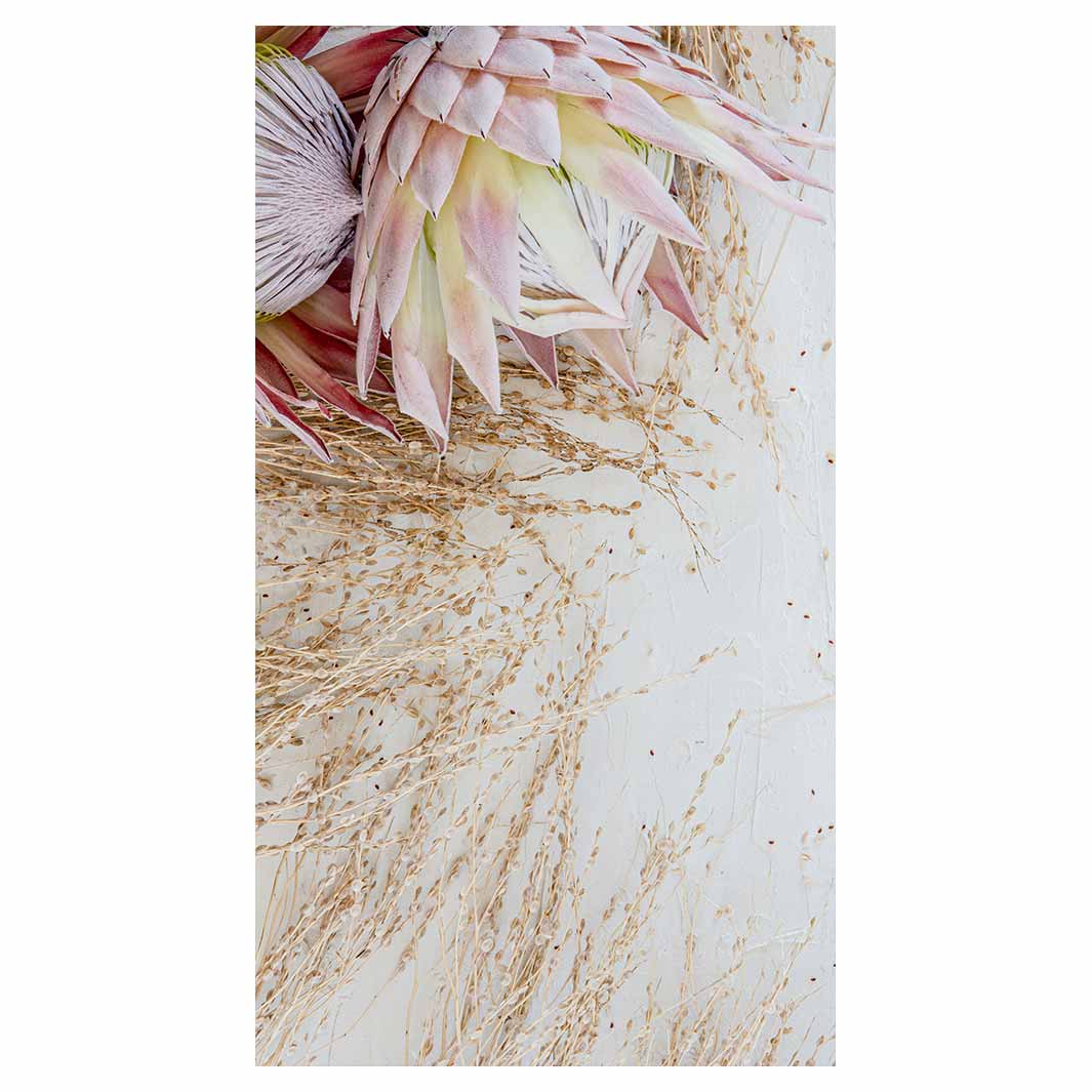 FLORAL PINK GRASSY PROTEA BUFF — Cape Rug, Home & Art