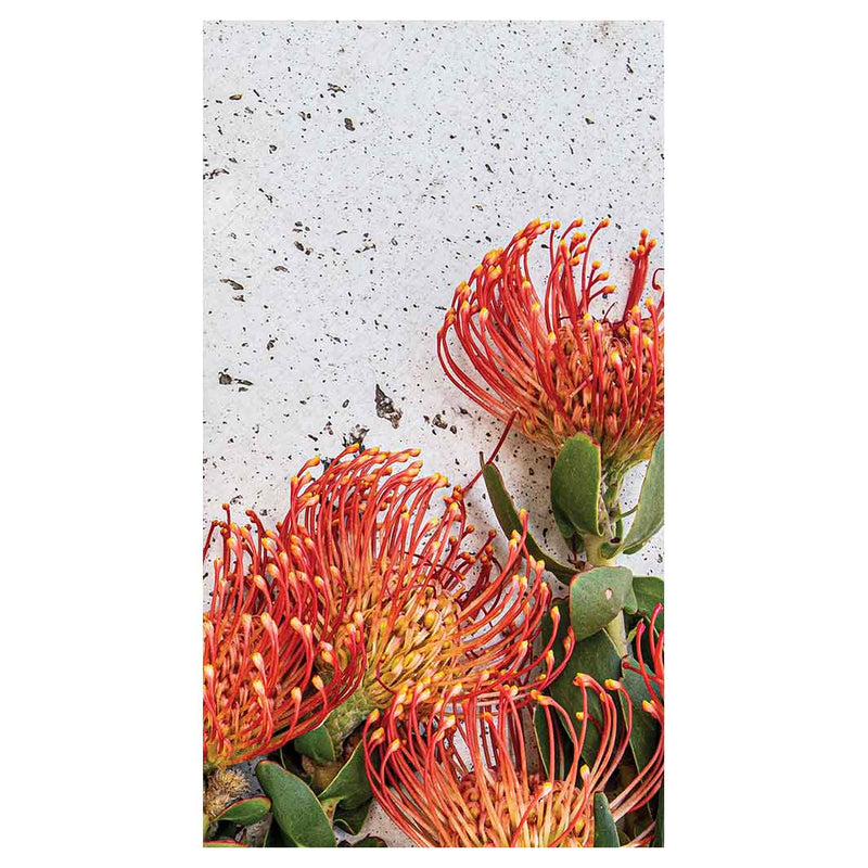 FLORAL ORANGE PIN CUSHIONS ON WHITE BUFF