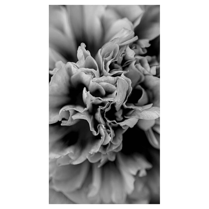 FLORAL BLACK AND WHITE PEONY BUFF