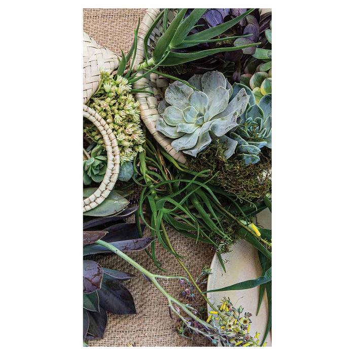 NATURAL GREEN ALOE BOUQUET IN BASKET ON HESSIAN BUFF