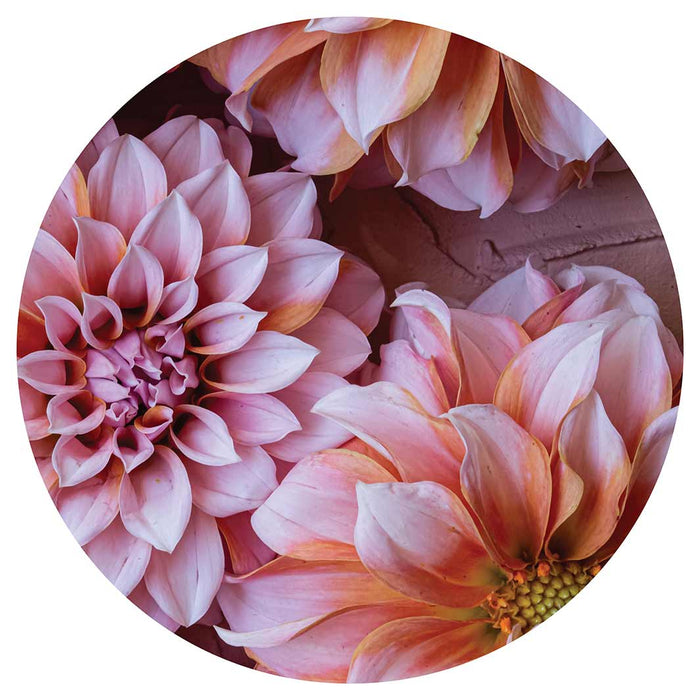 FLORAL PINK AND ORANGE DAHLIA FLOWERS ROUND CLOCK