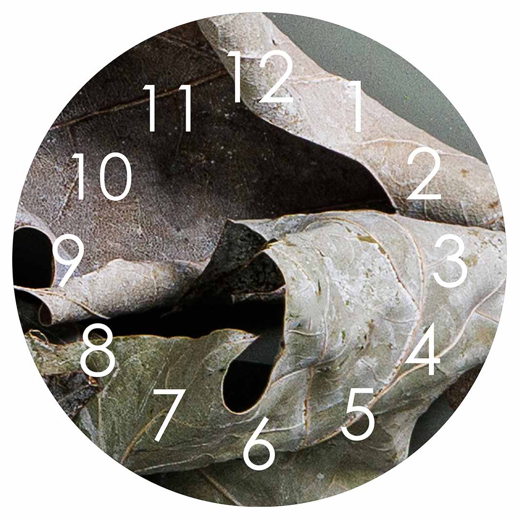 MONOCHROMATIC GREY GREEN LEAVES ROUND CLOCK