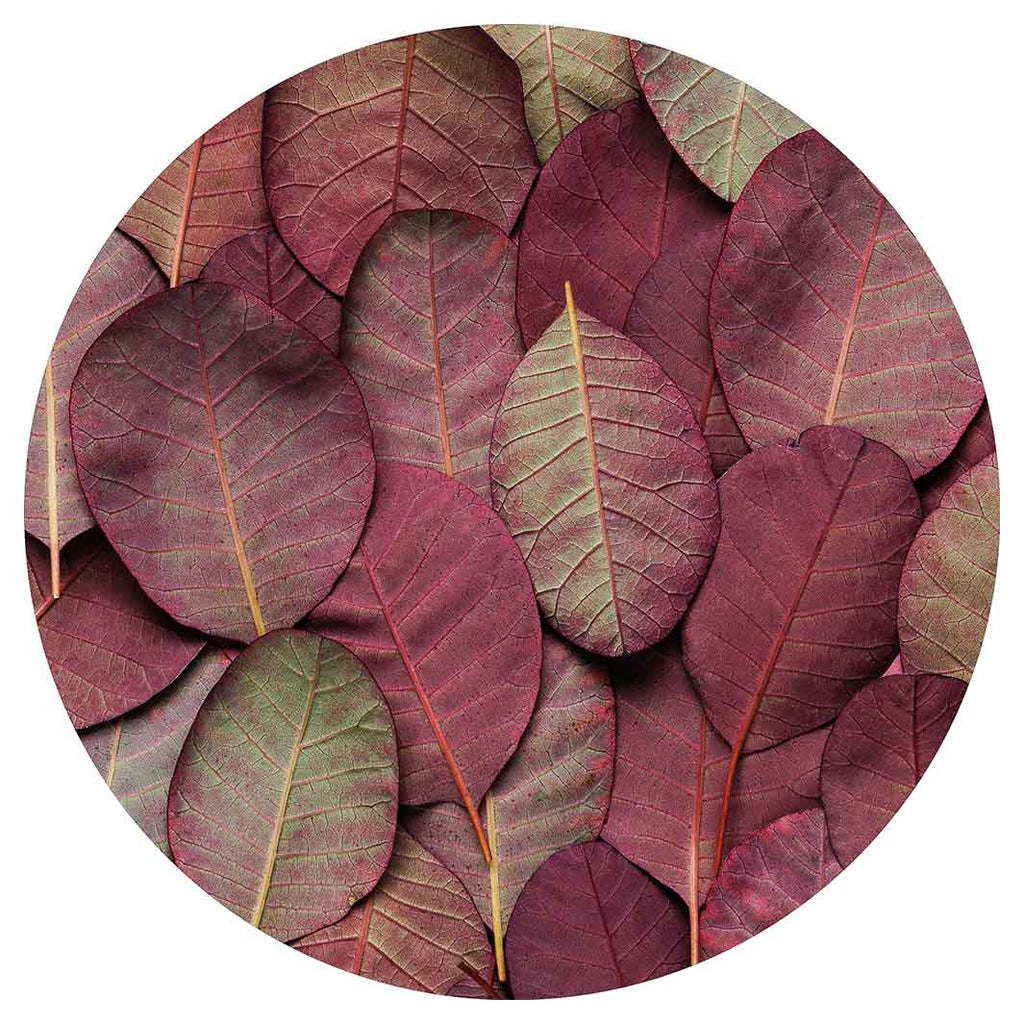 Clocks — Cape Rug, Home & Art