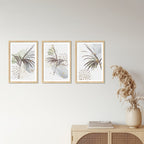 PALM TREE COMPOSITE FRAMED CANVAS COLLAGES 3PCE