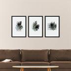 PALM TREE LEAF COMPOSITE FRAMED CANVAS COLLAGES 3PCE