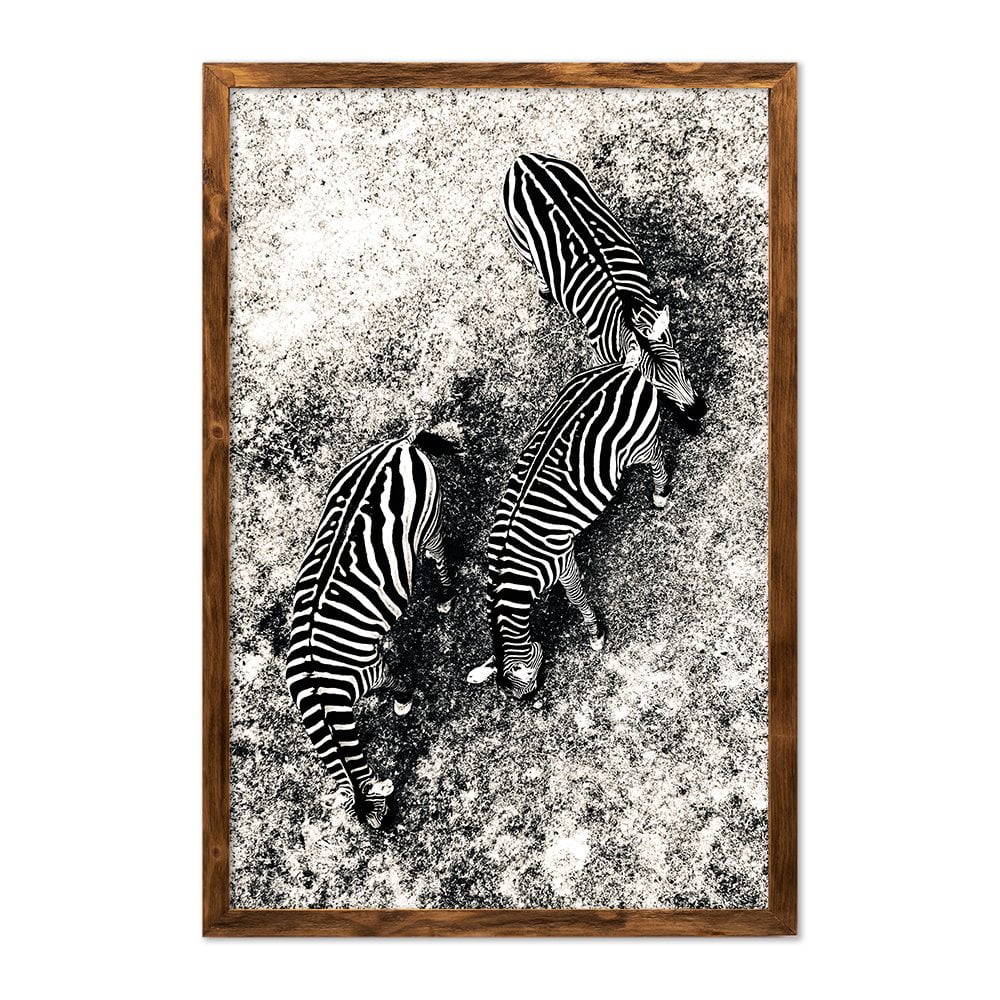 ZEBRAS - 4