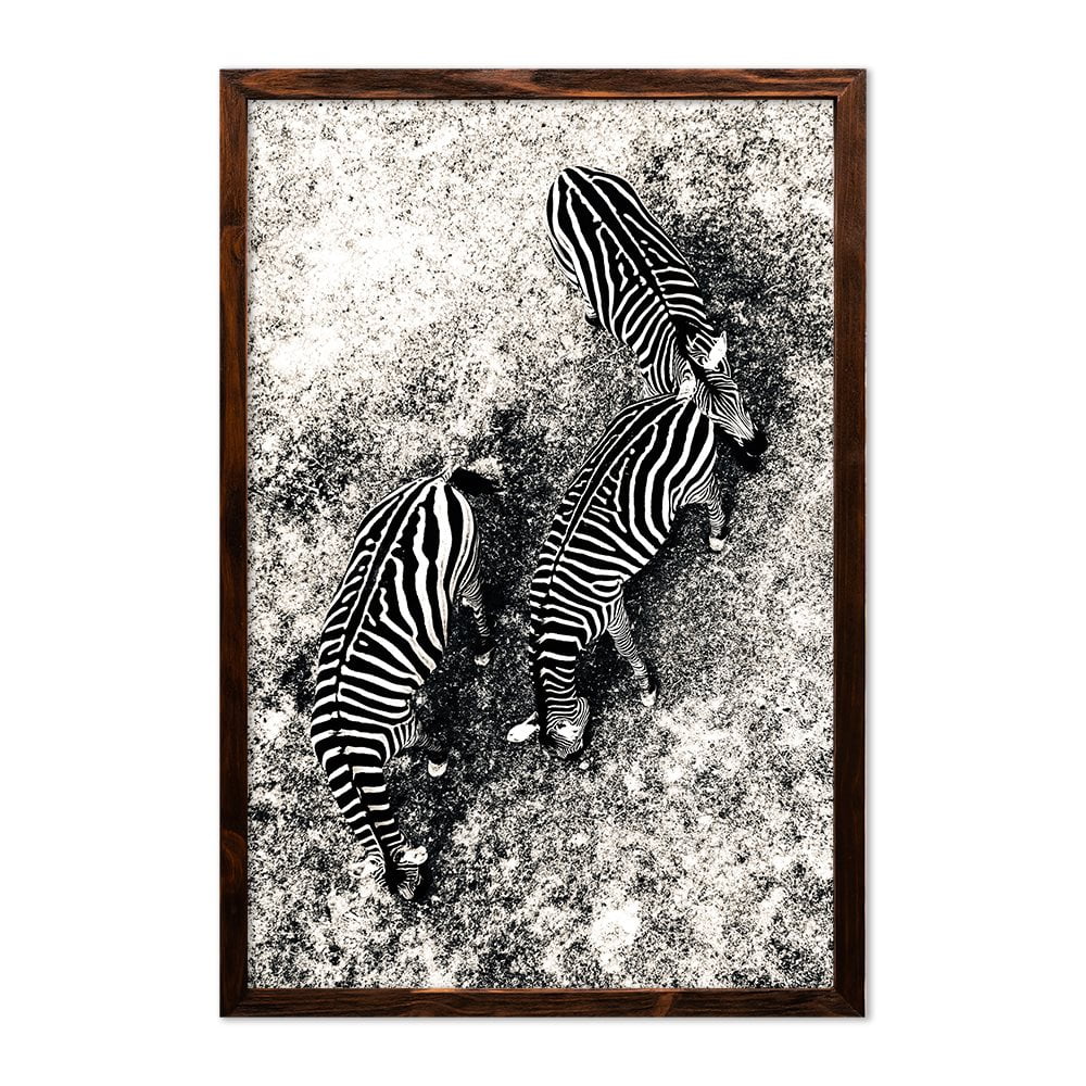 ZEBRAS - 3