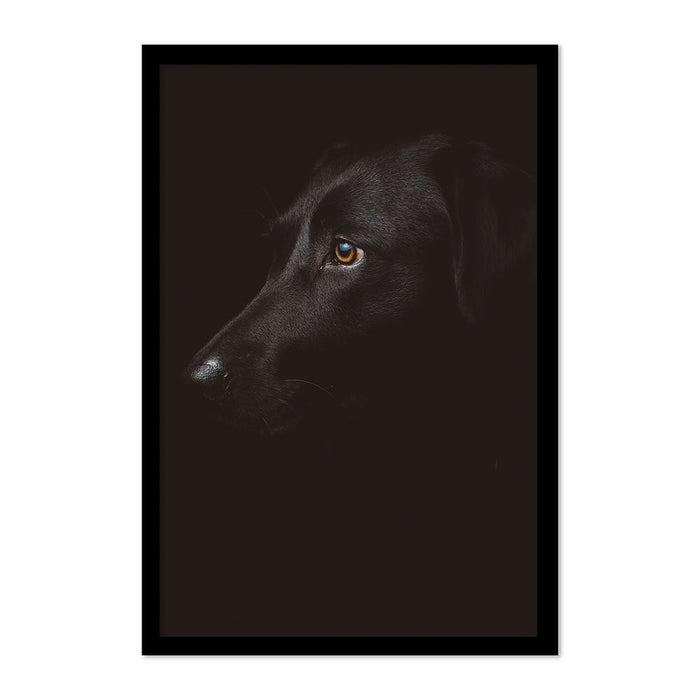 DOG PORTRAIT