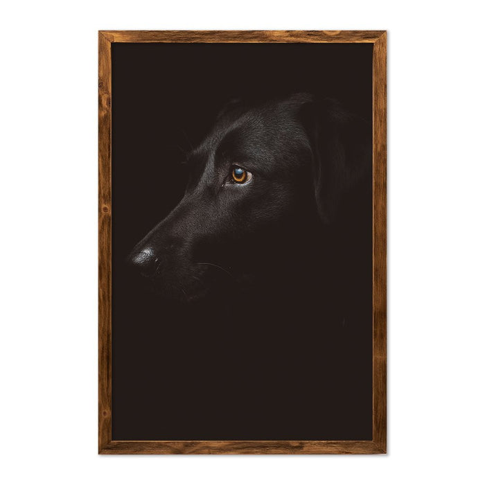 DOG PORTRAIT