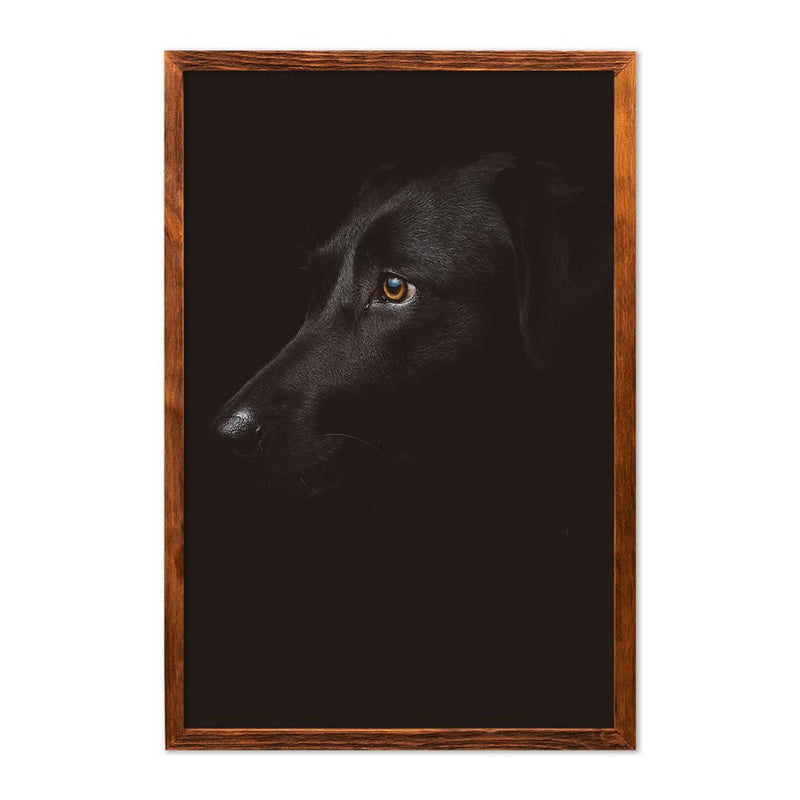 DOG PORTRAIT