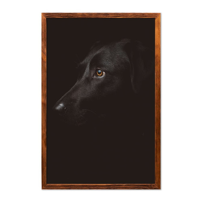 DOG PORTRAIT