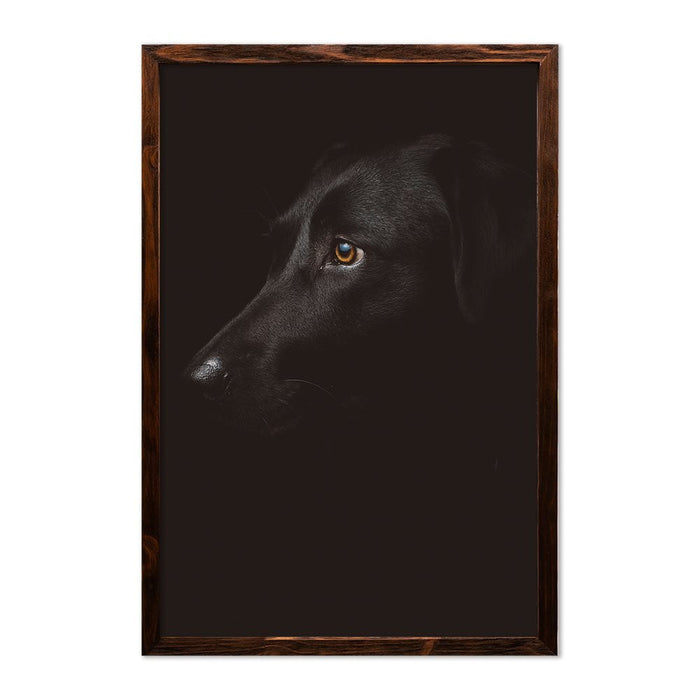 DOG PORTRAIT