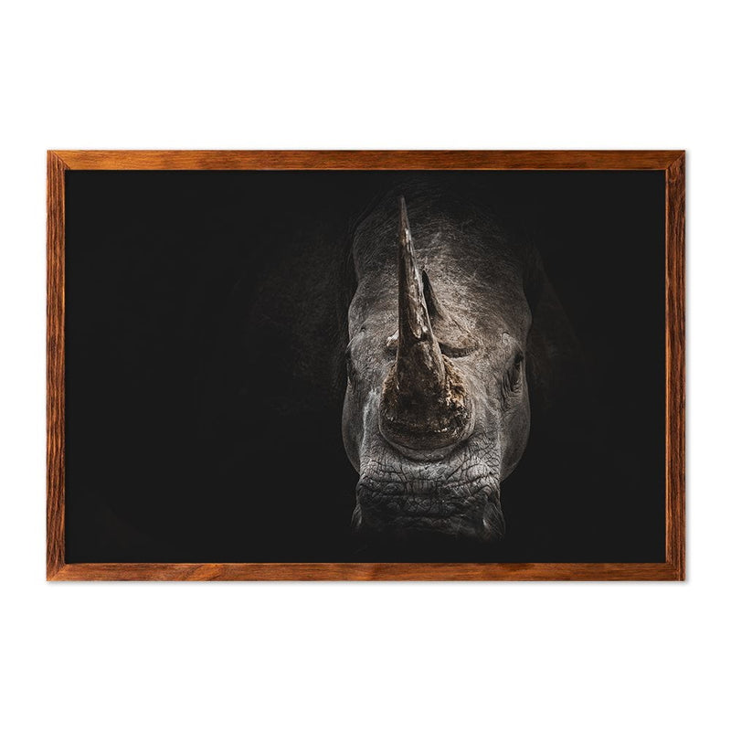 RHINO PORTRAIT
