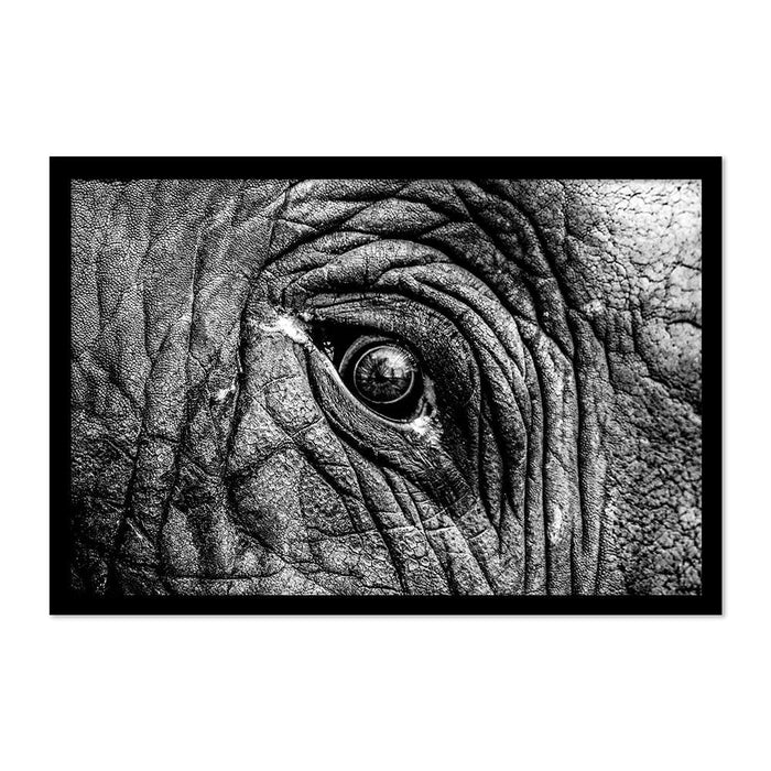 ELEPHANT EYE