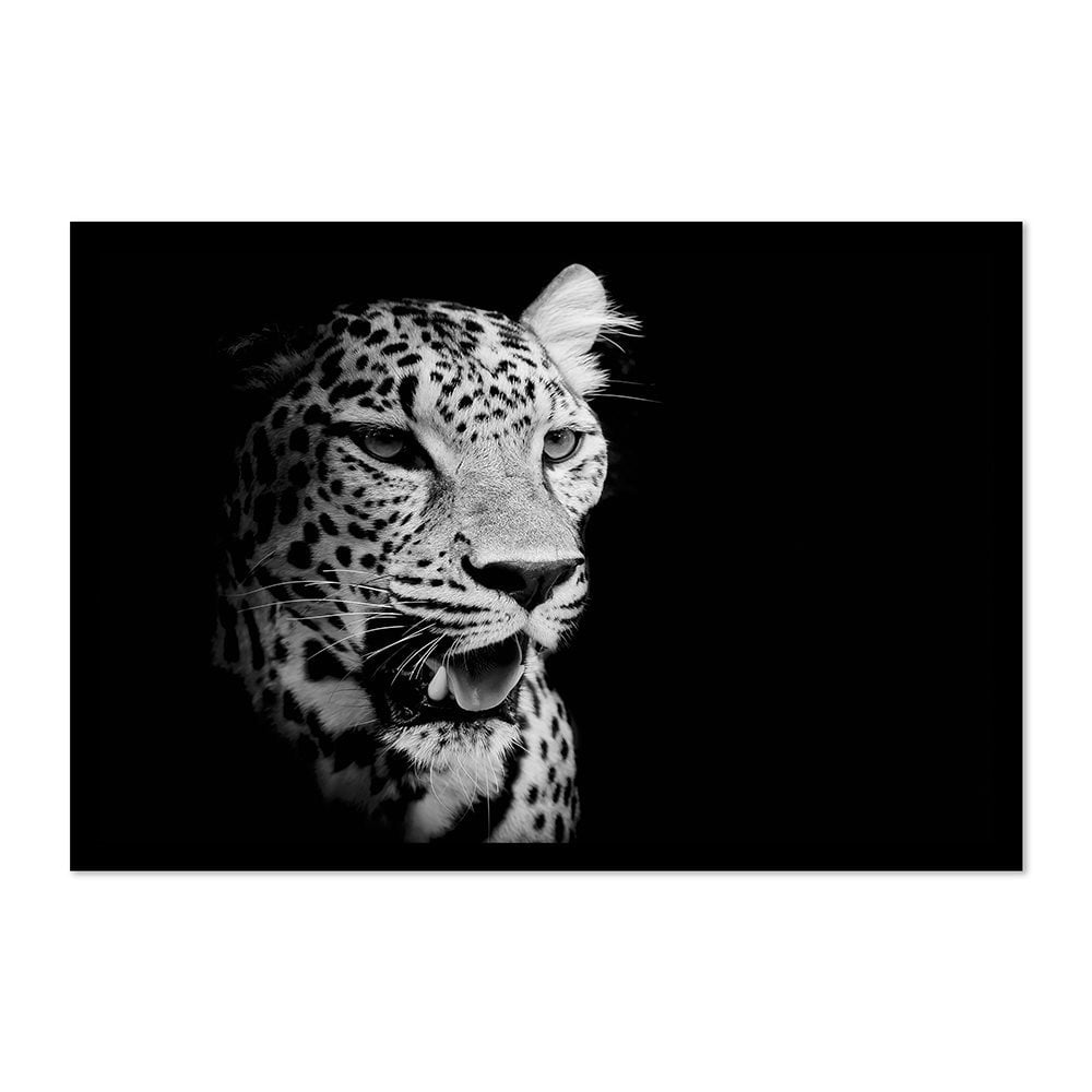 B&W LEOPARD - 1