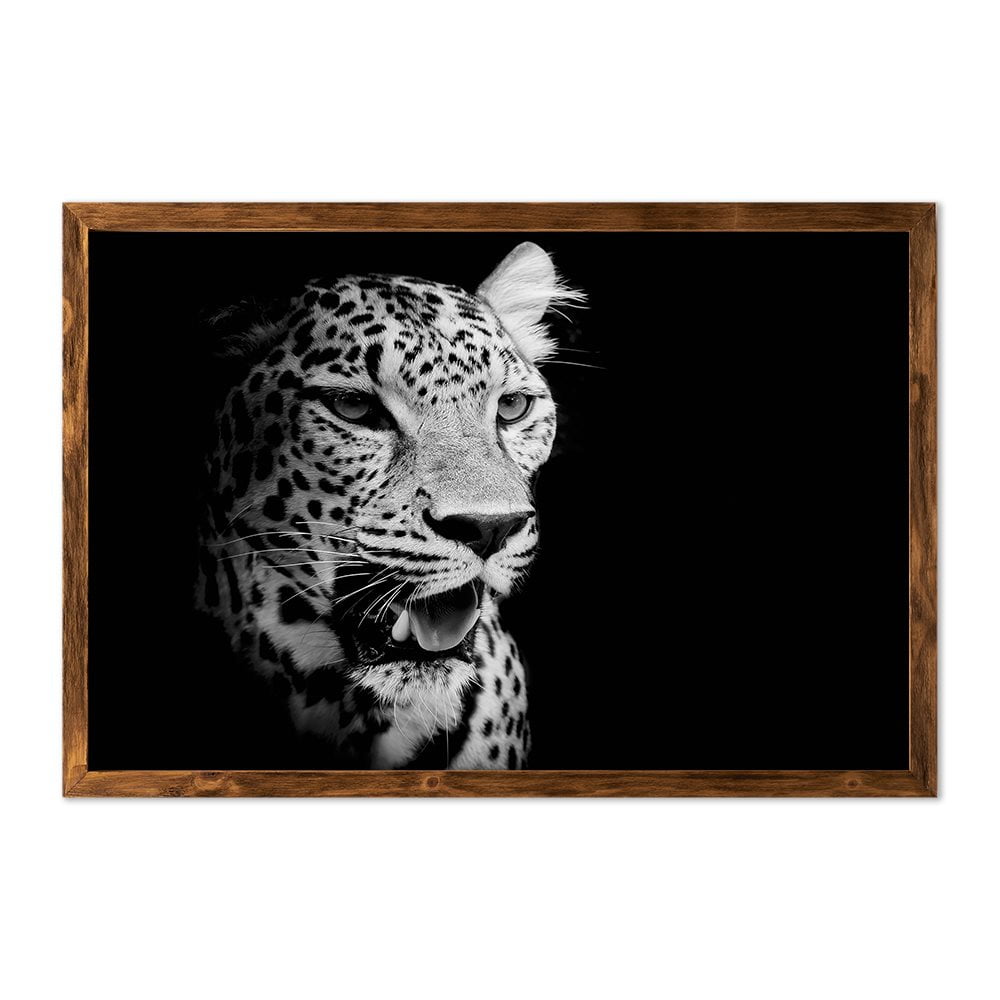 B&W LEOPARD - 1