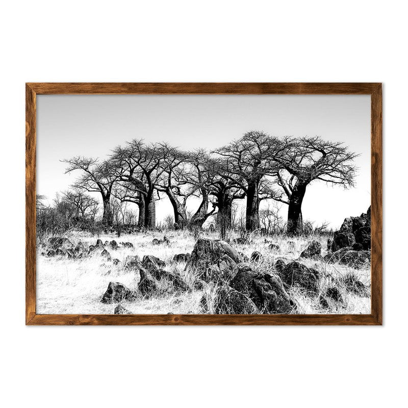 BAOBAB FOREST