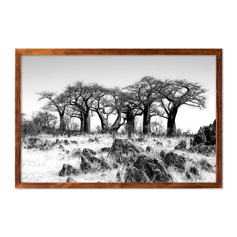 BAOBAB FOREST