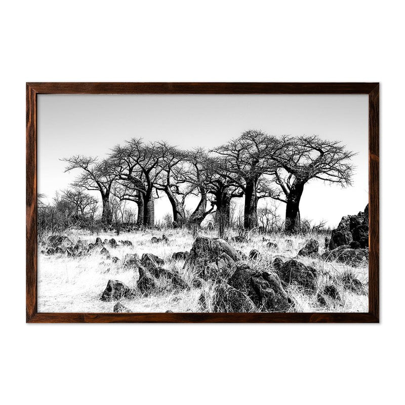 BAOBAB FOREST