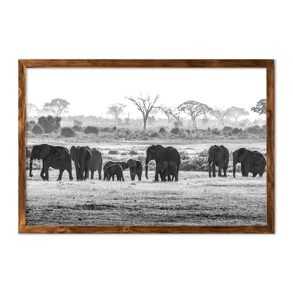 ELEPHANT HERD