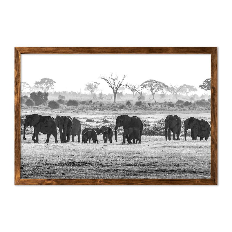 ELEPHANT HERD