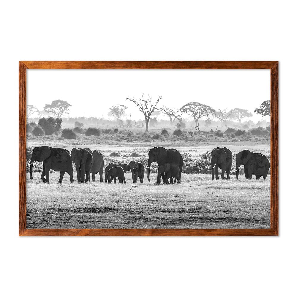 ELEPHANT HERD