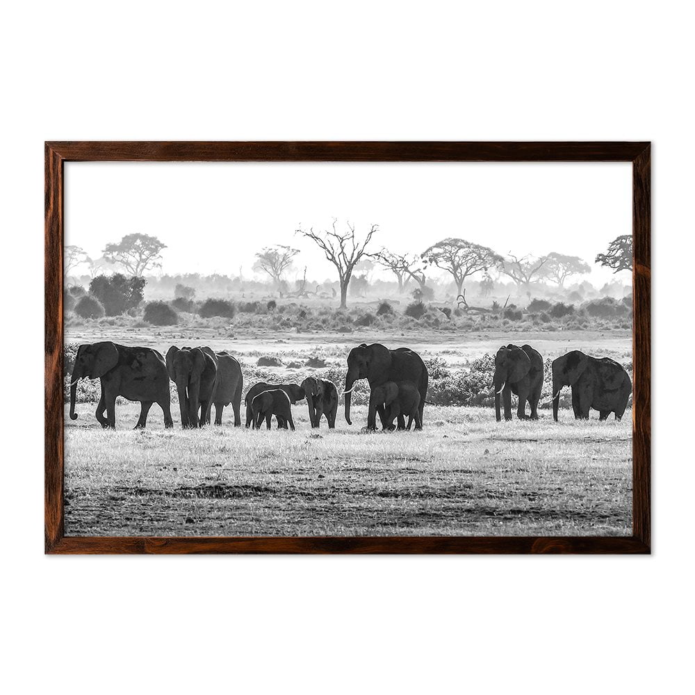 ELEPHANT HERD