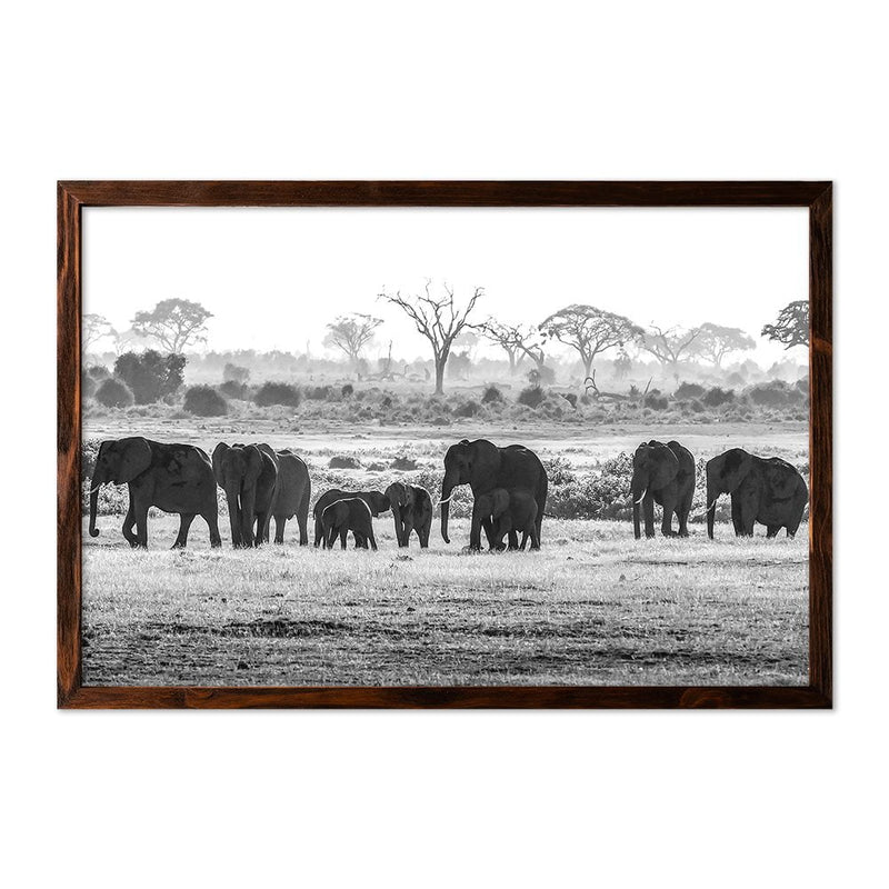 ELEPHANT HERD