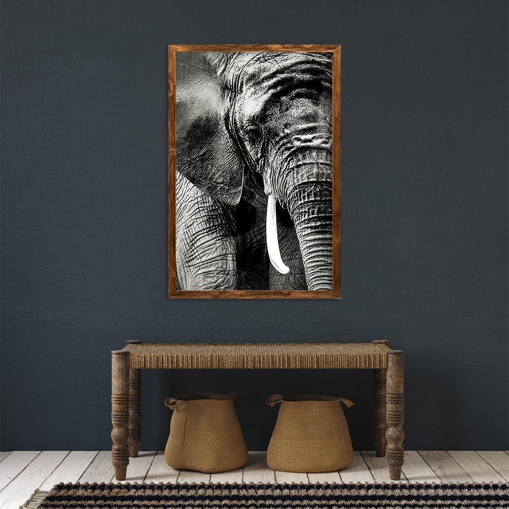 ELEPHANT PORTRAIT