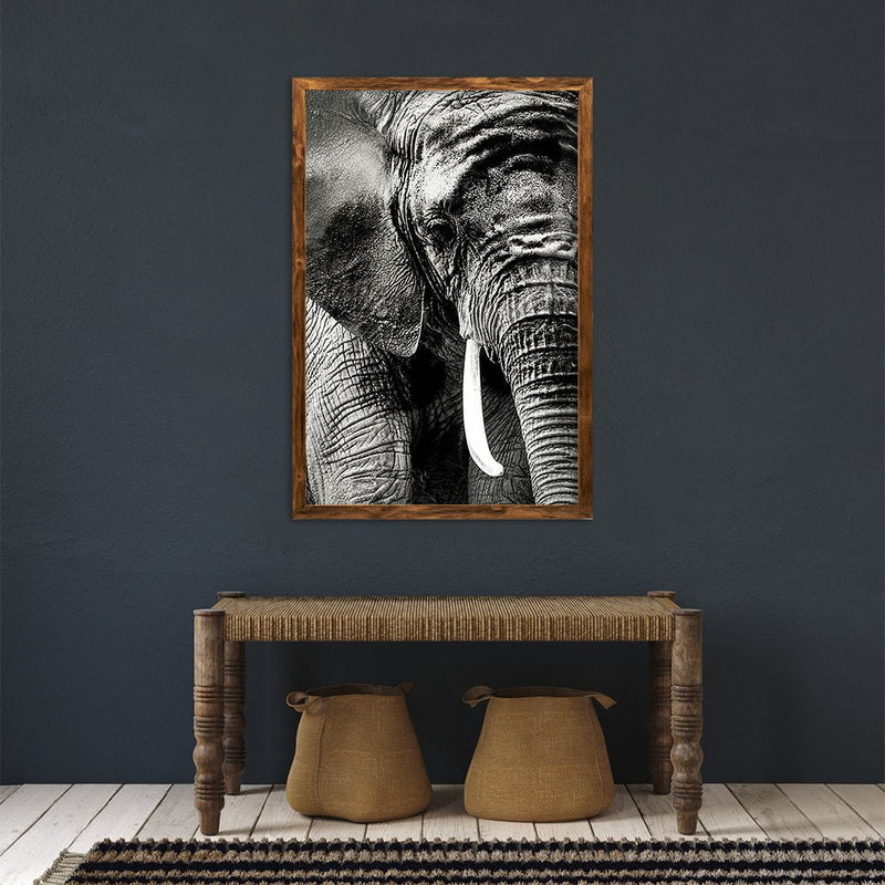 ELEPHANT PORTRAIT