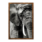 ELEPHANT PORTRAIT
